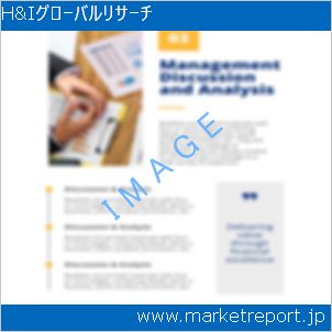 市場と産業調査レポートのイメージ